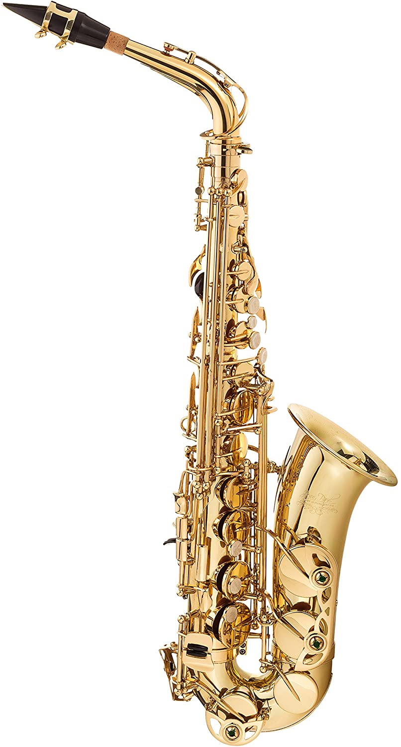 Professional Alto Eb SAX Saxophone Gold Laquer 