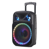 Portable Trolley Speaker Rechargeable Manufacture Wholesale OEM